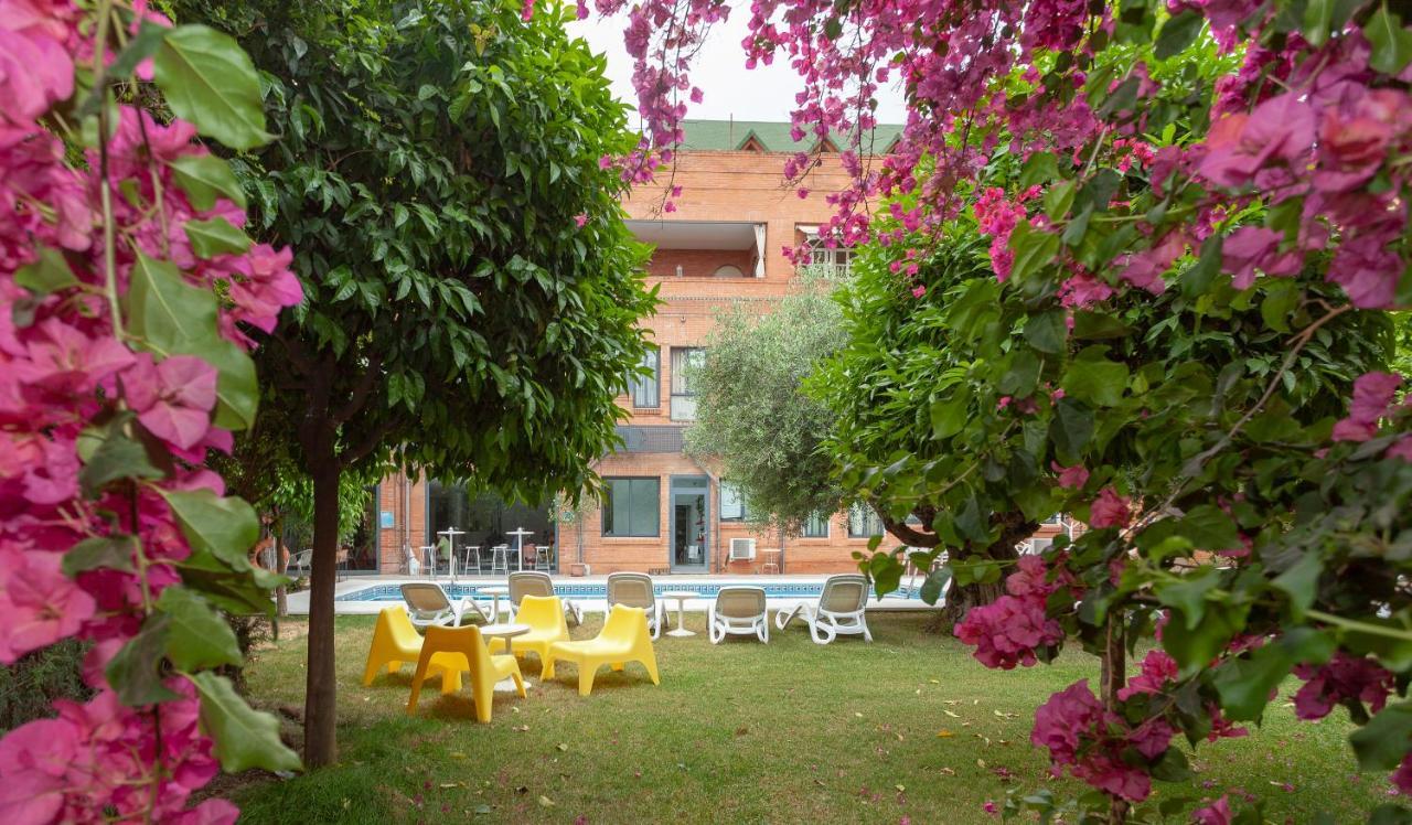 Aacr Hotel Monteolivos Севилья Экстерьер фото